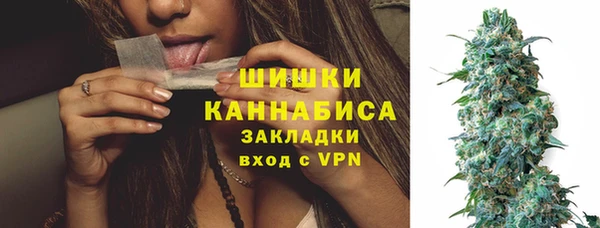 не бодяженный Снежногорск