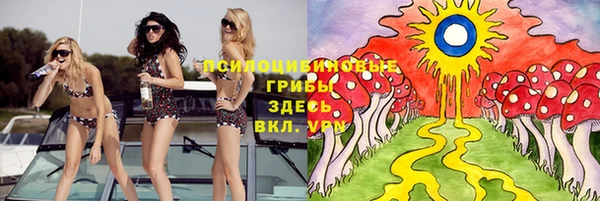 гашик Снежинск